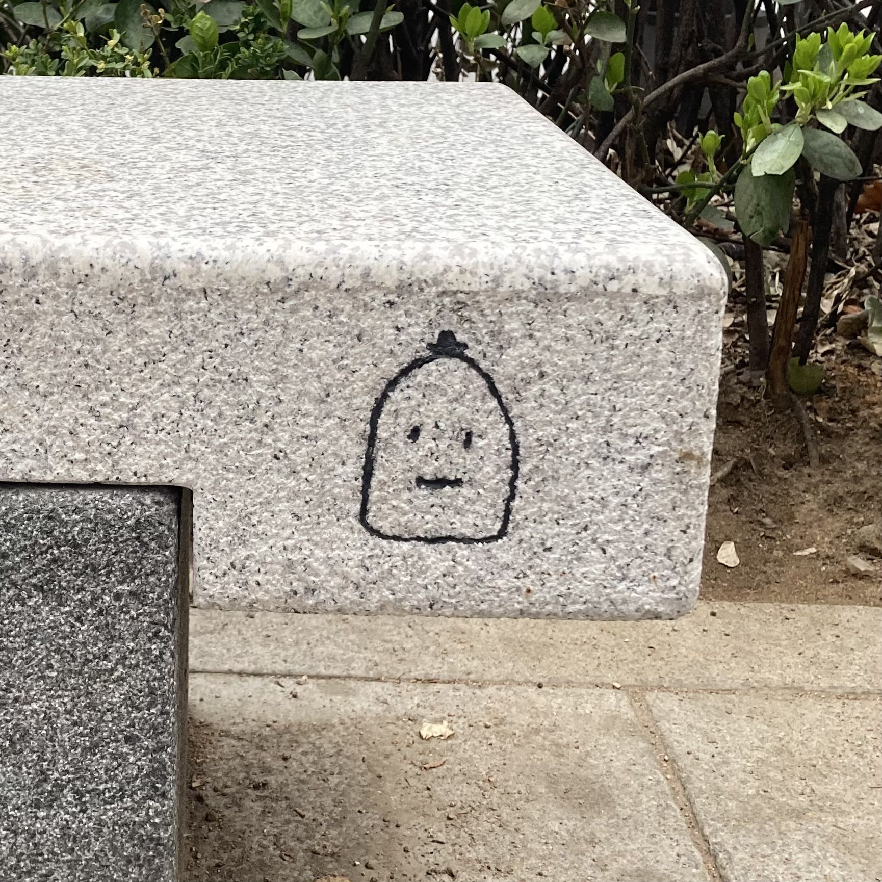 숨수달