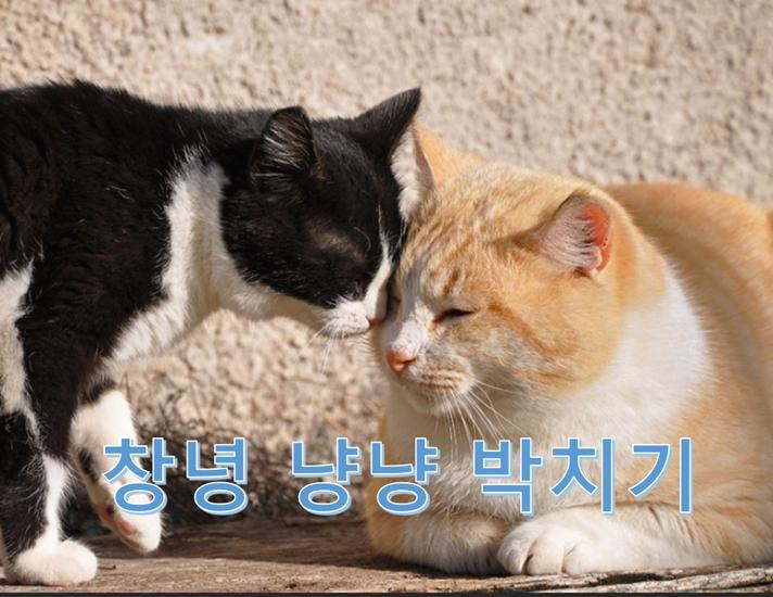 블로그 이미지