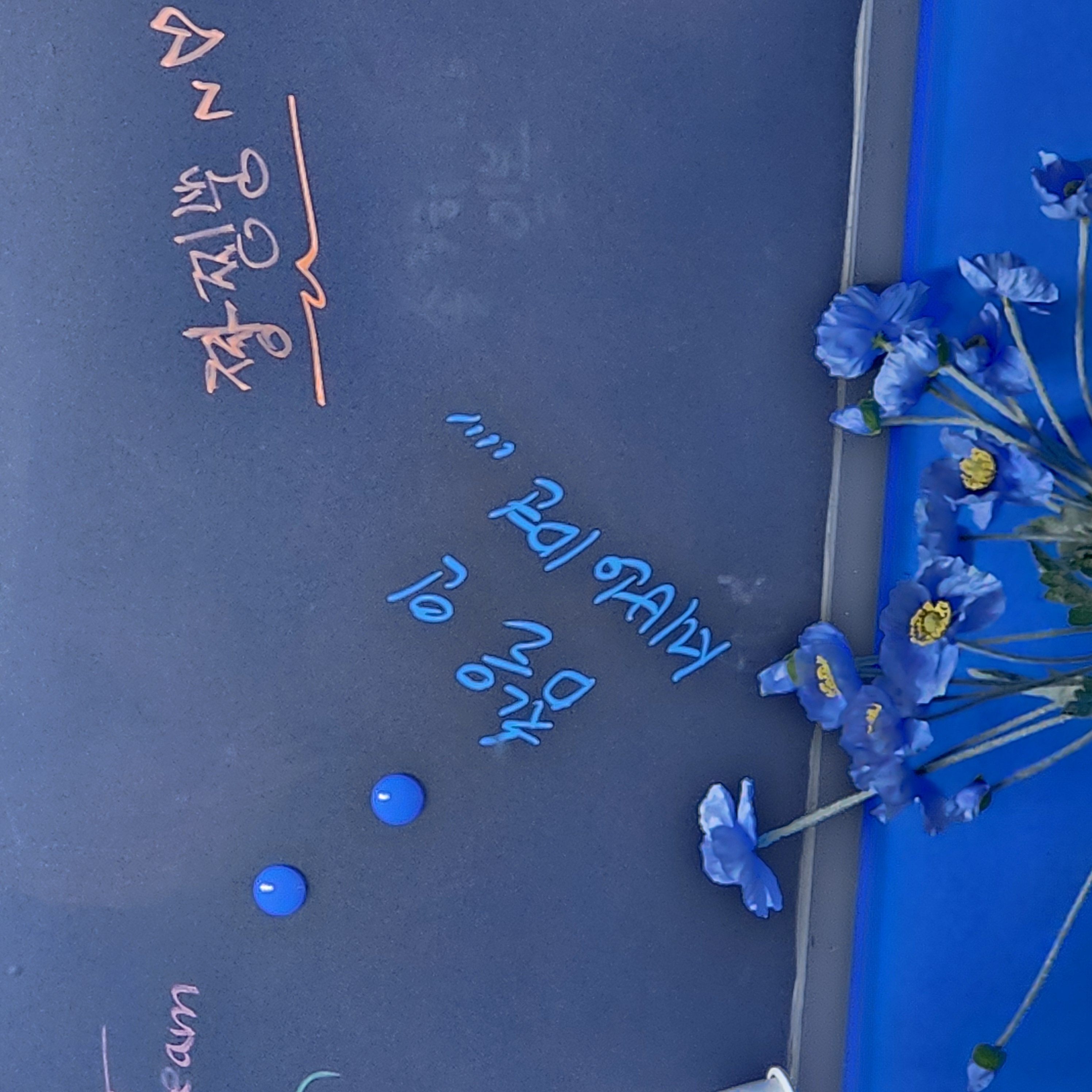 프로필사진