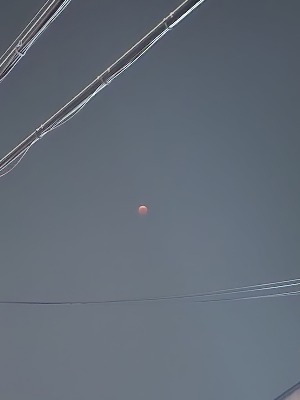 프로필사진
