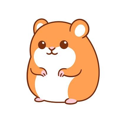 프로필사진