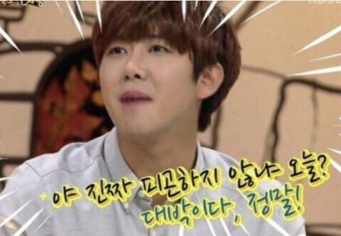 프로필사진
