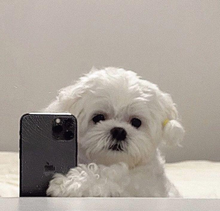 프로필사진