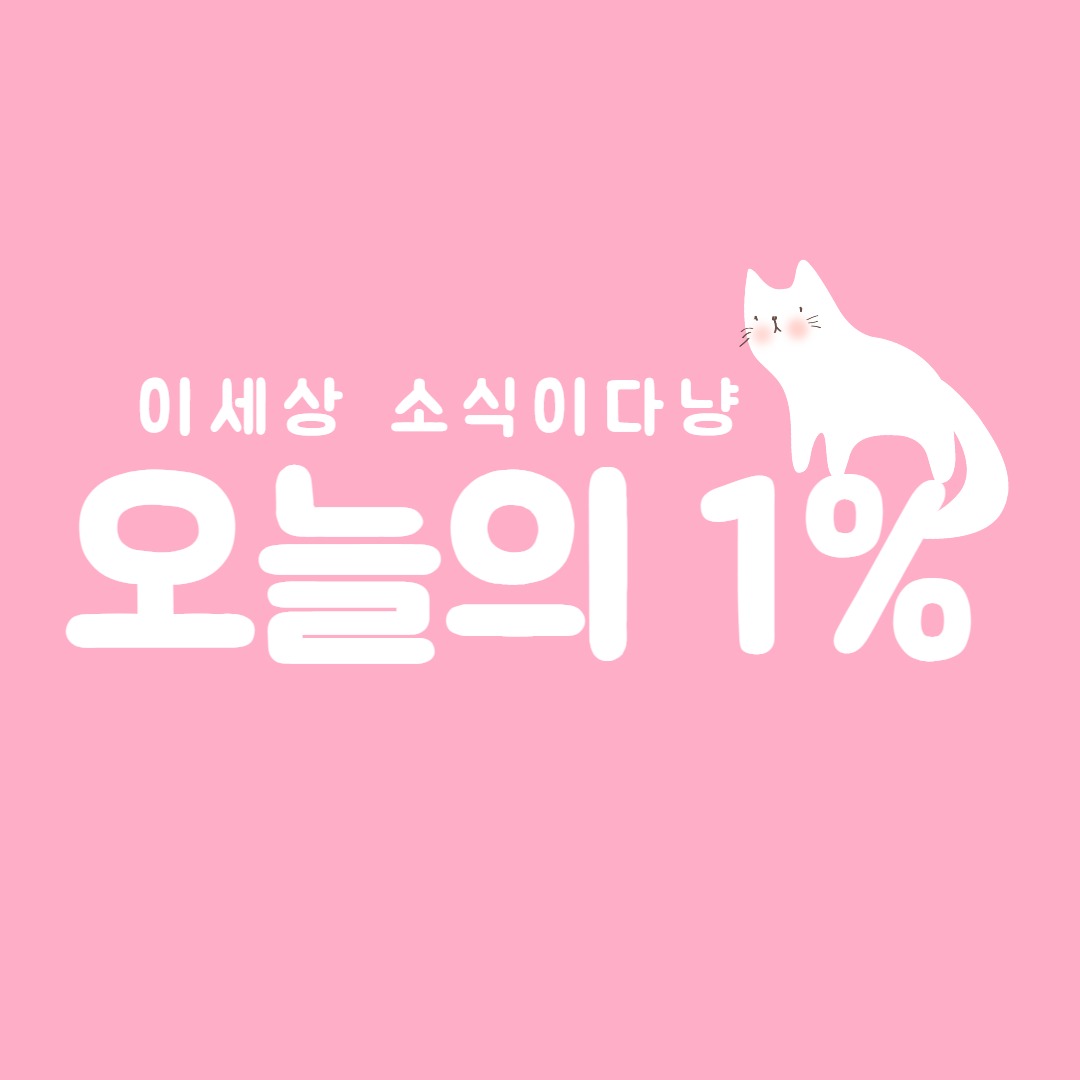 프로필사진