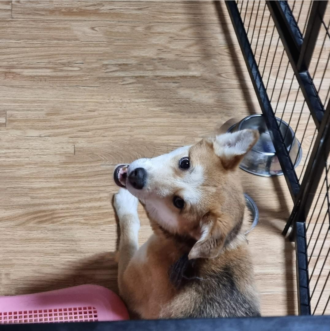 프로필사진