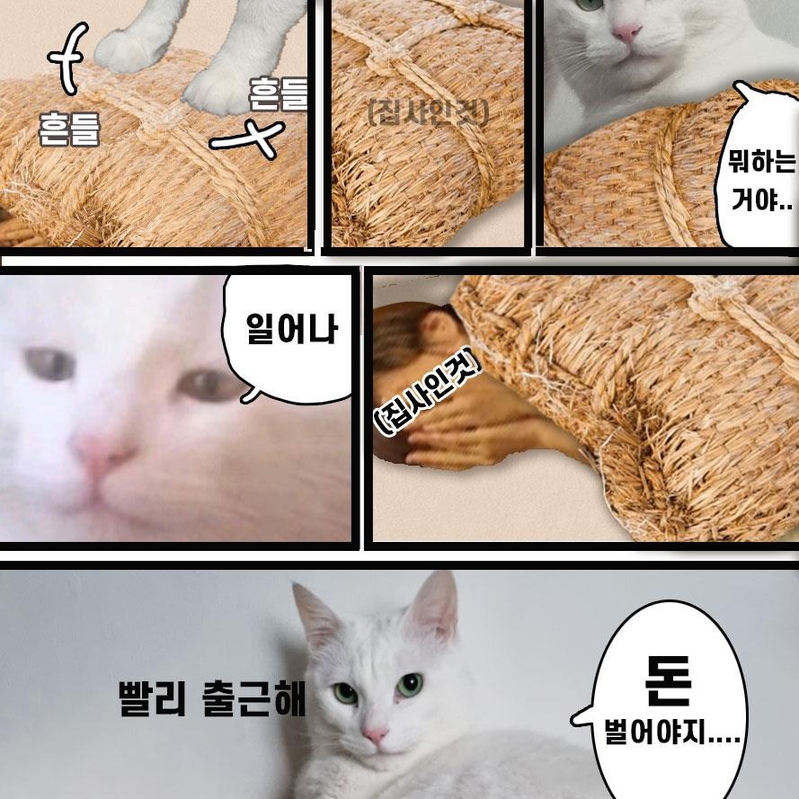 블로그 이미지