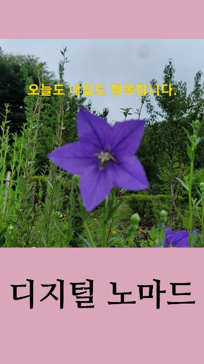 블로그 이미지