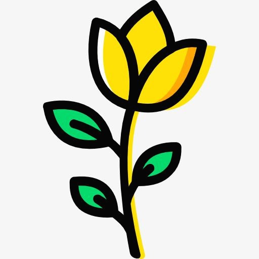 프로필사진