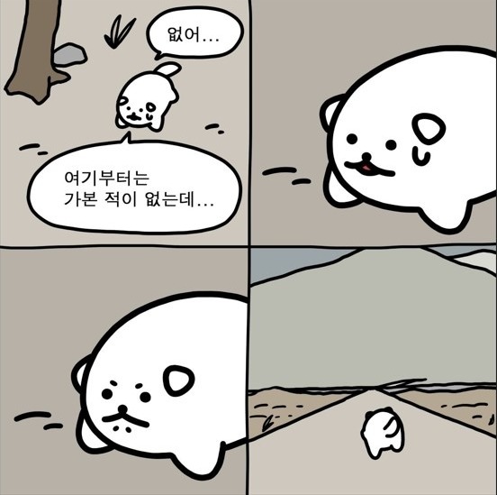 프로필사진