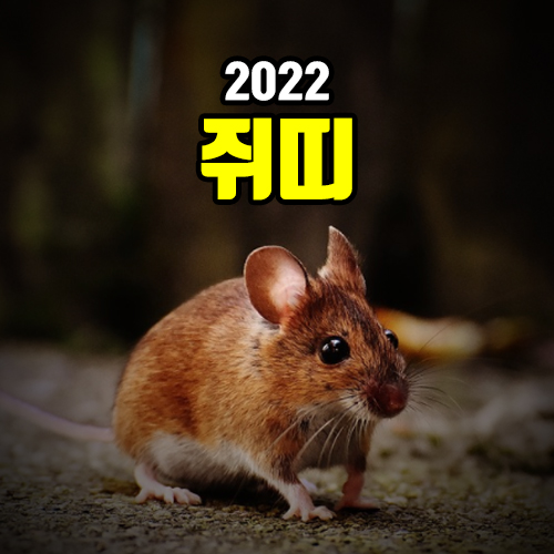 쥐띠 운세 2022