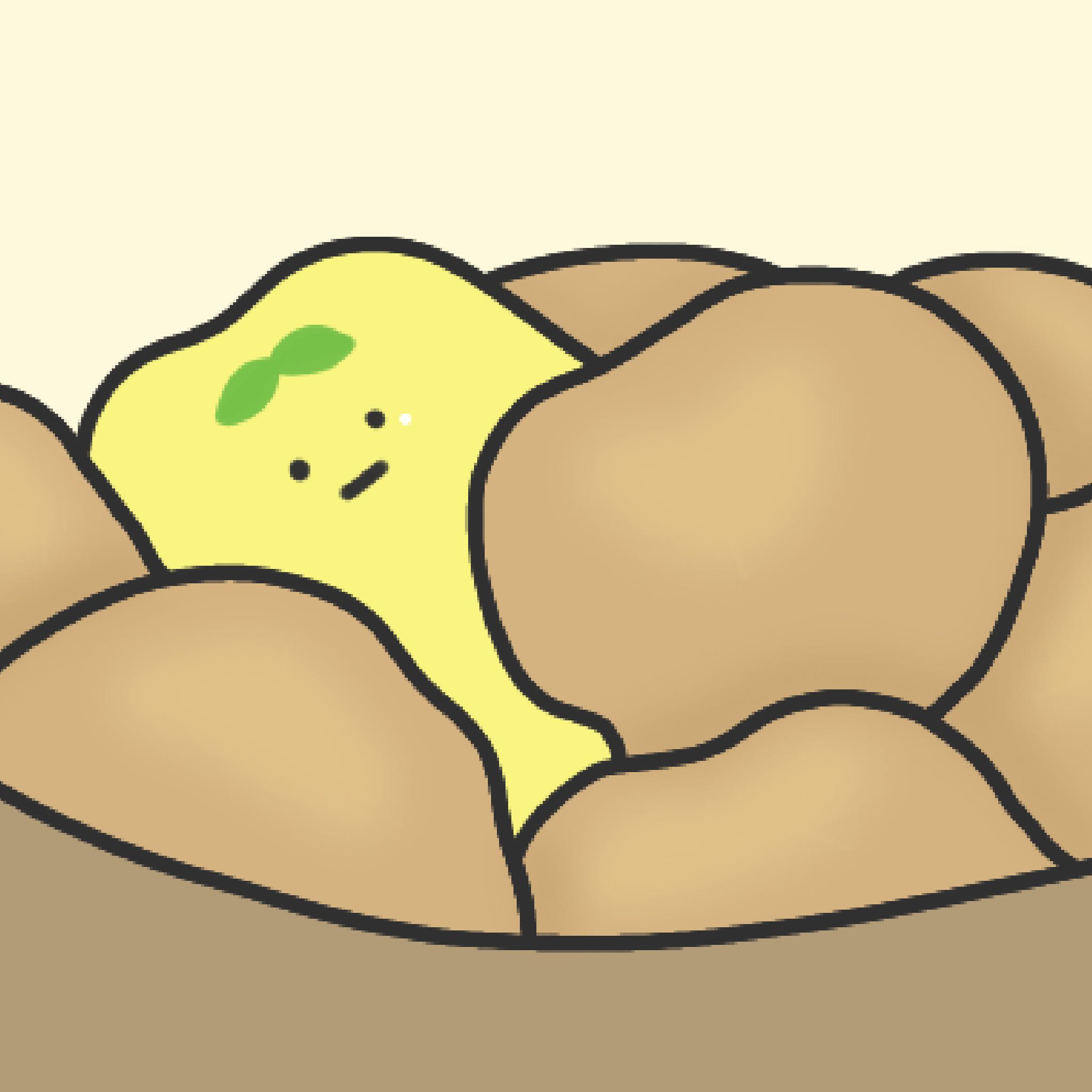 프로필사진