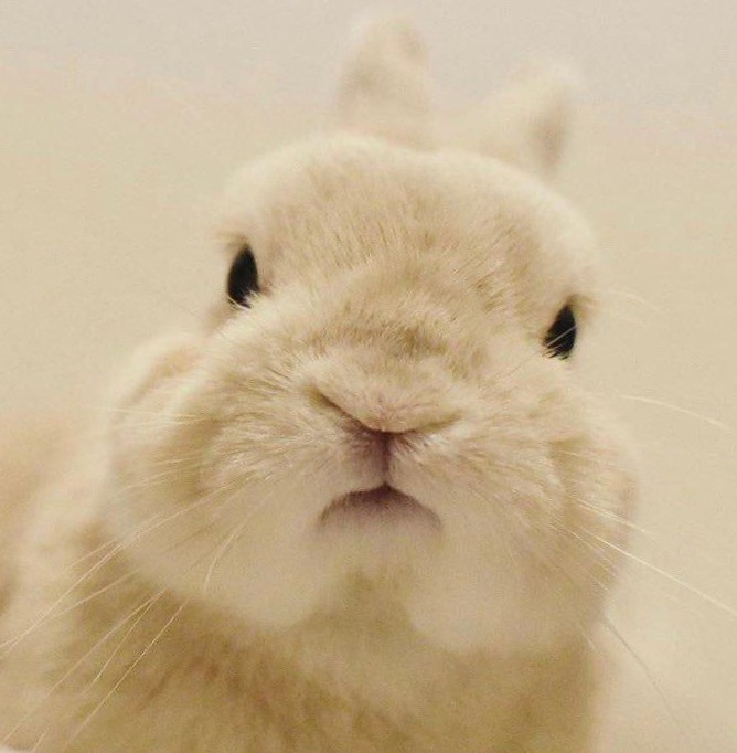 프로필사진