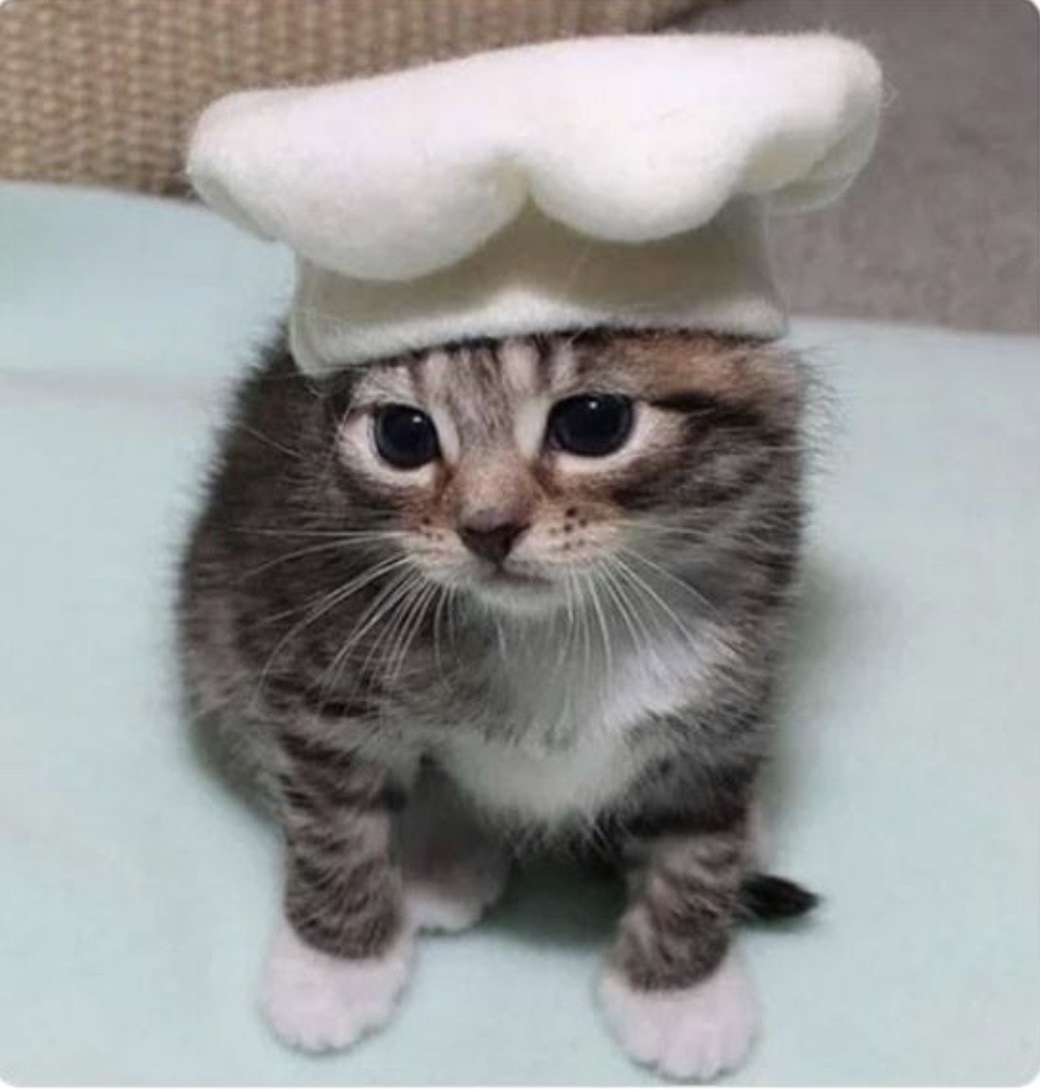 8cf196510ea8428698fd5be499c14916