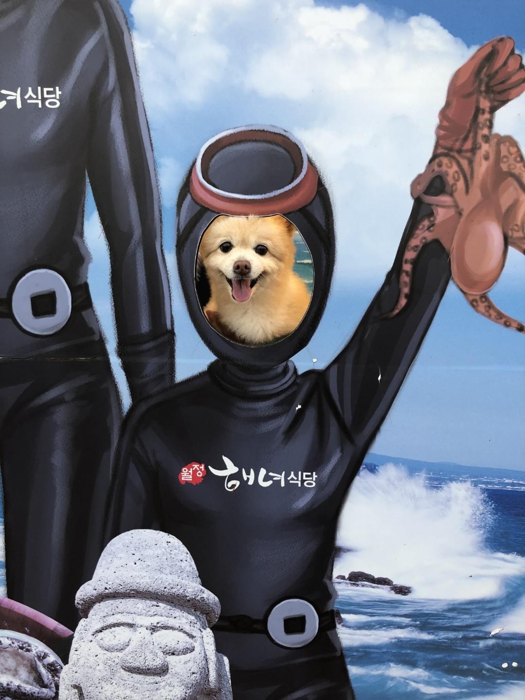 프로필사진