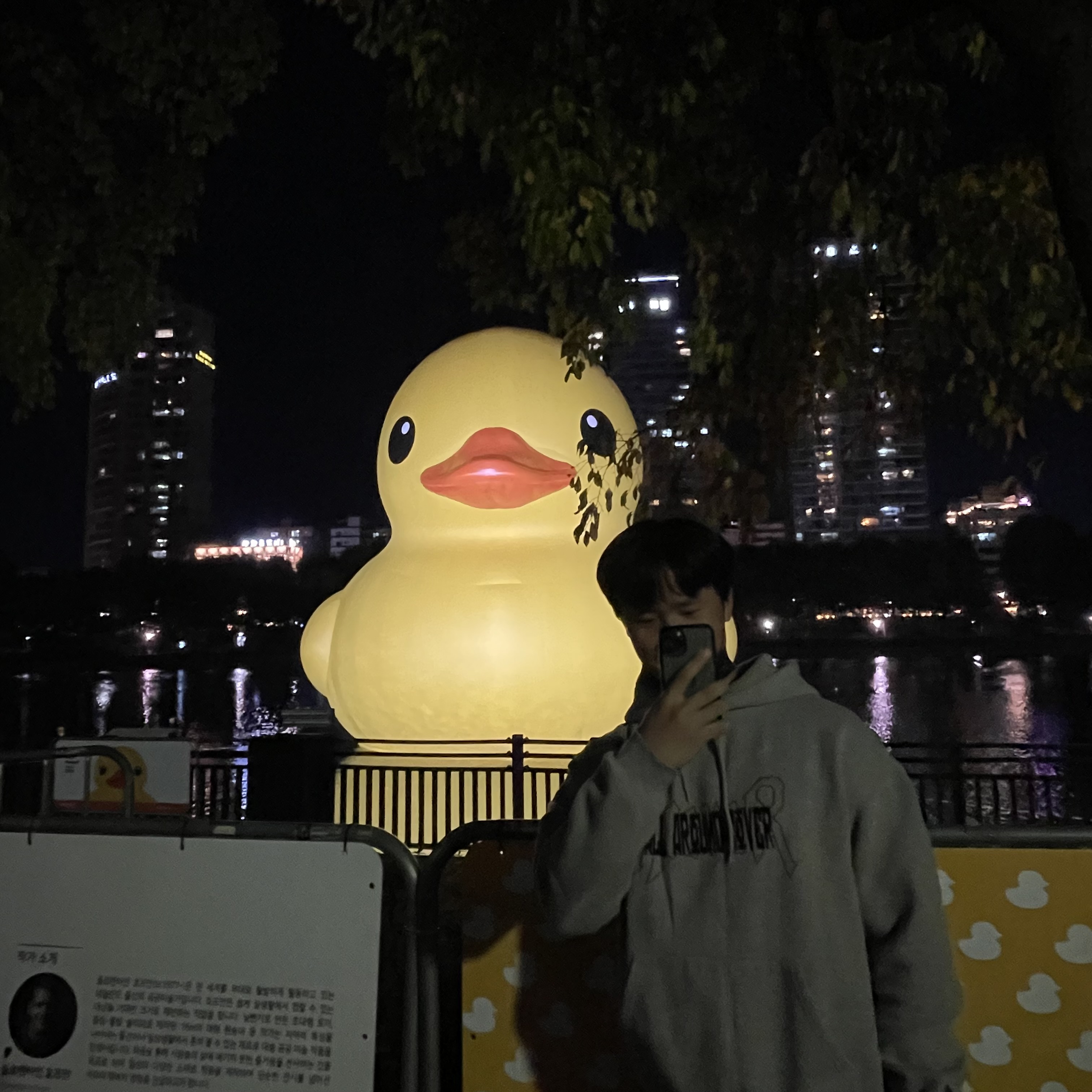 프로필사진