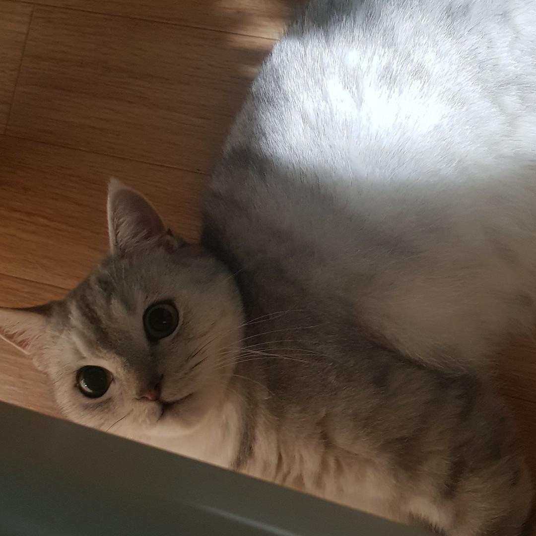 블로그 이미지