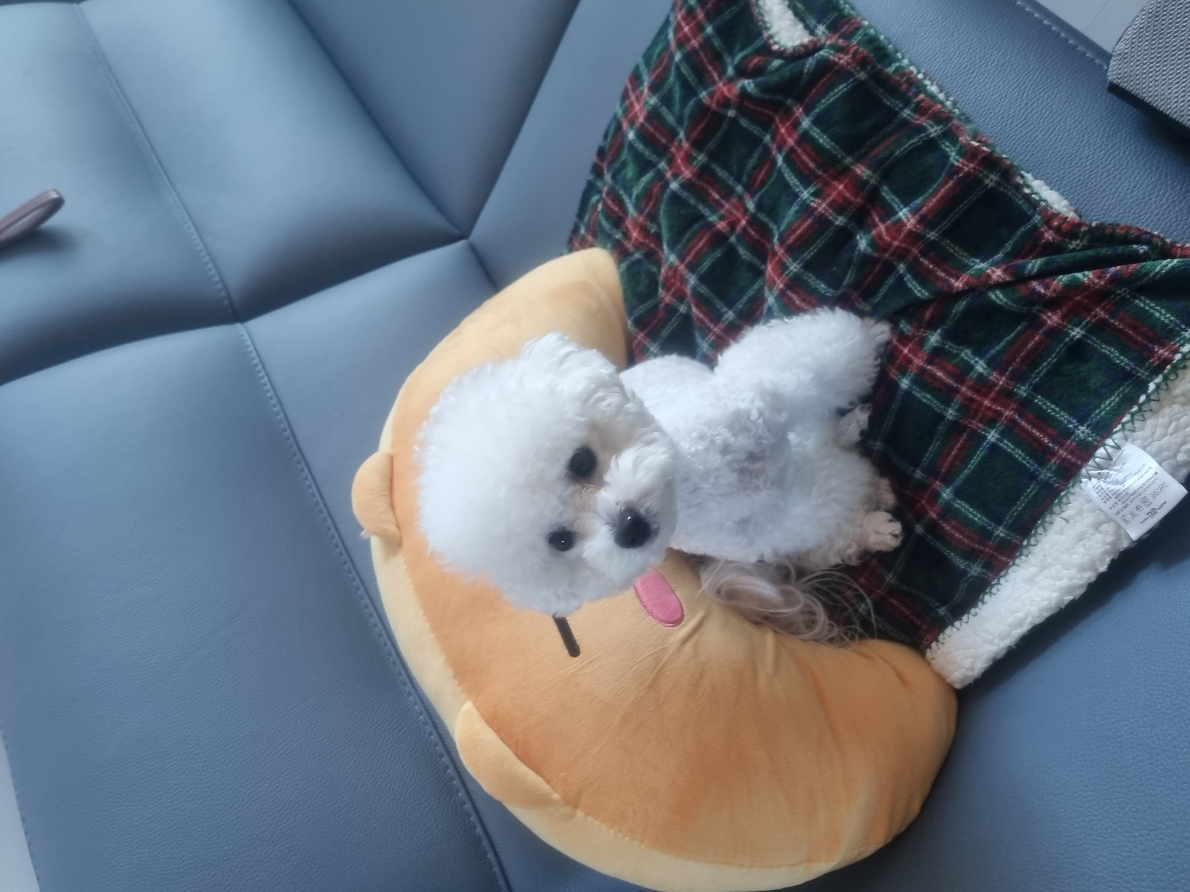 블로그 이미지