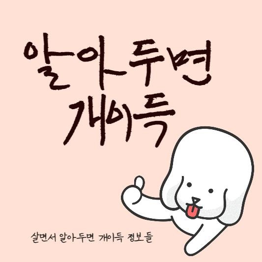 블로그 이미지