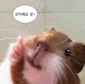 프로필사진