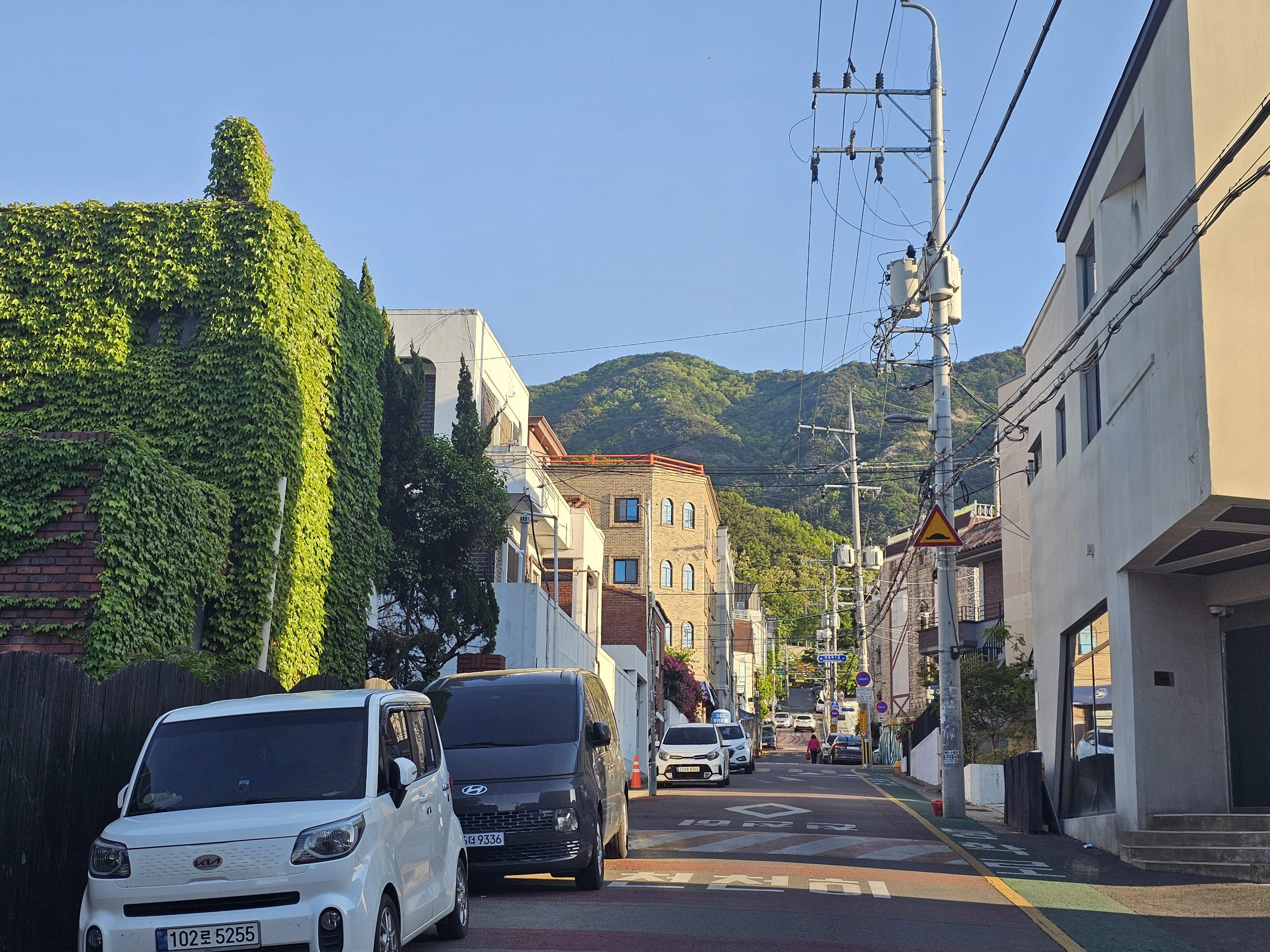 프로필사진