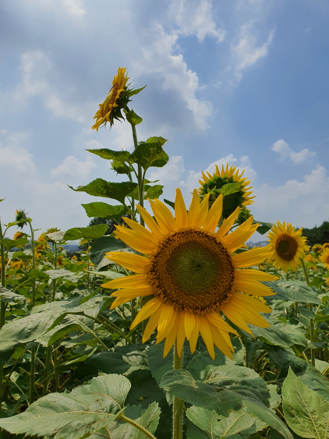 프로필사진
