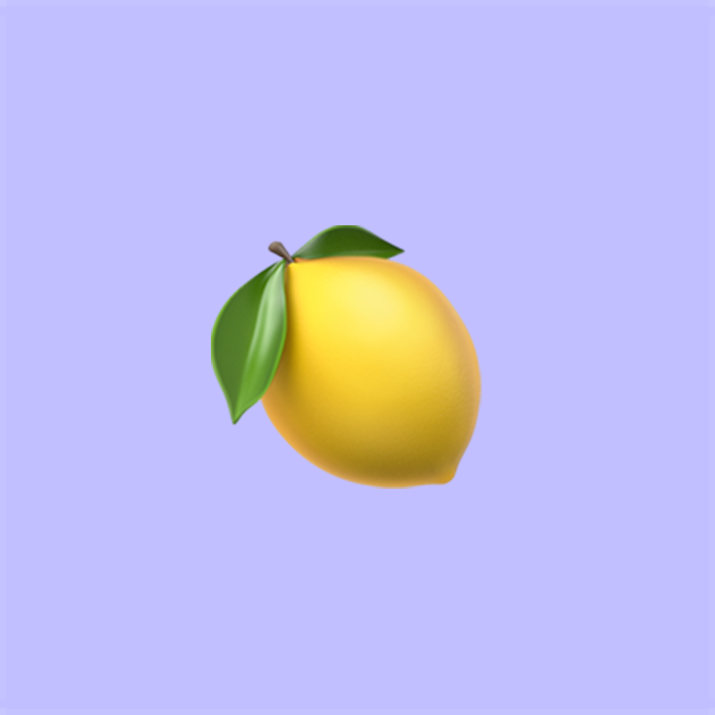 프로필사진