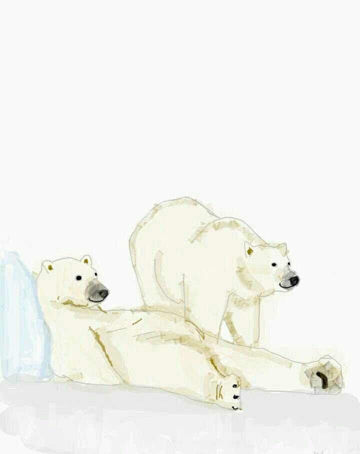 프로필사진