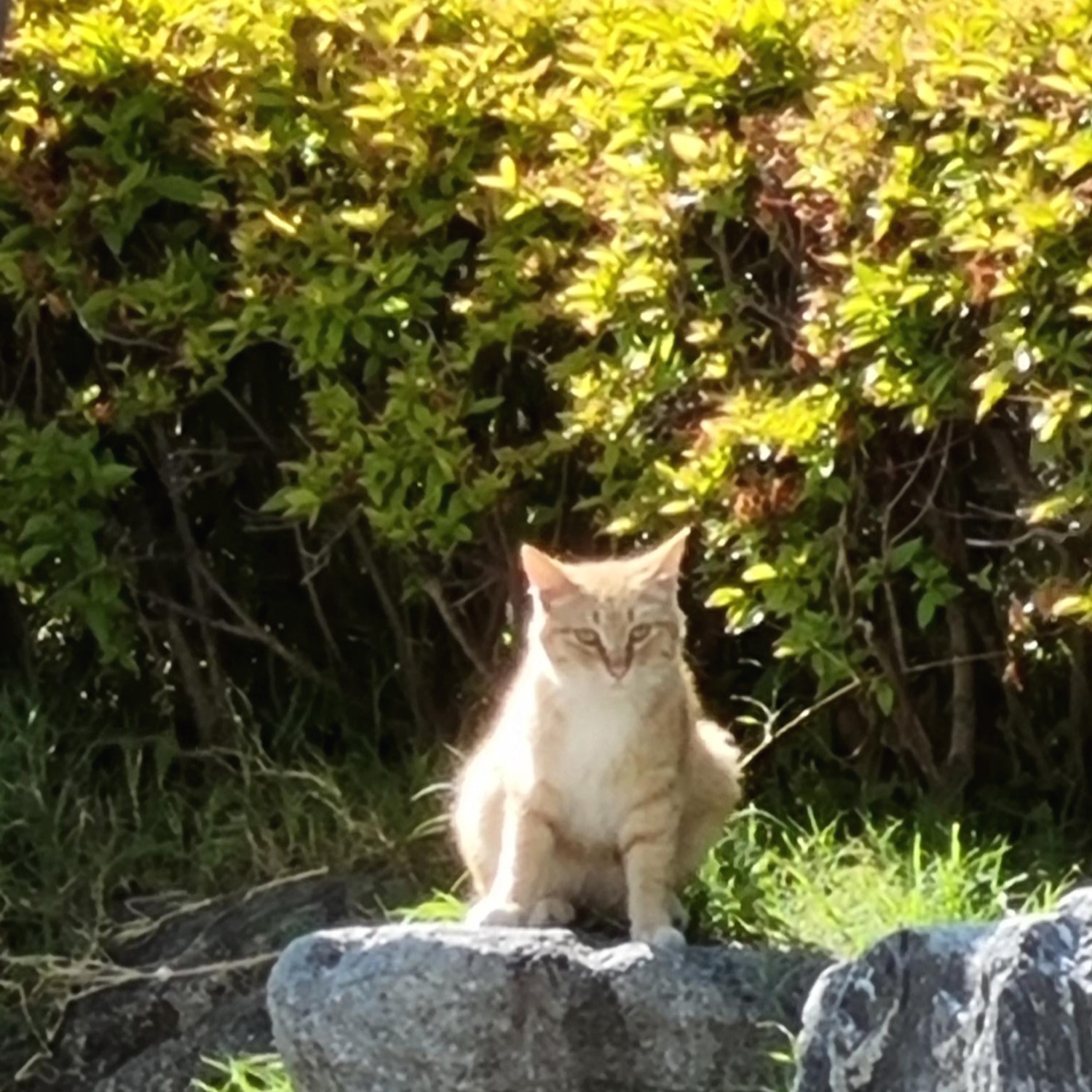 블로그 이미지