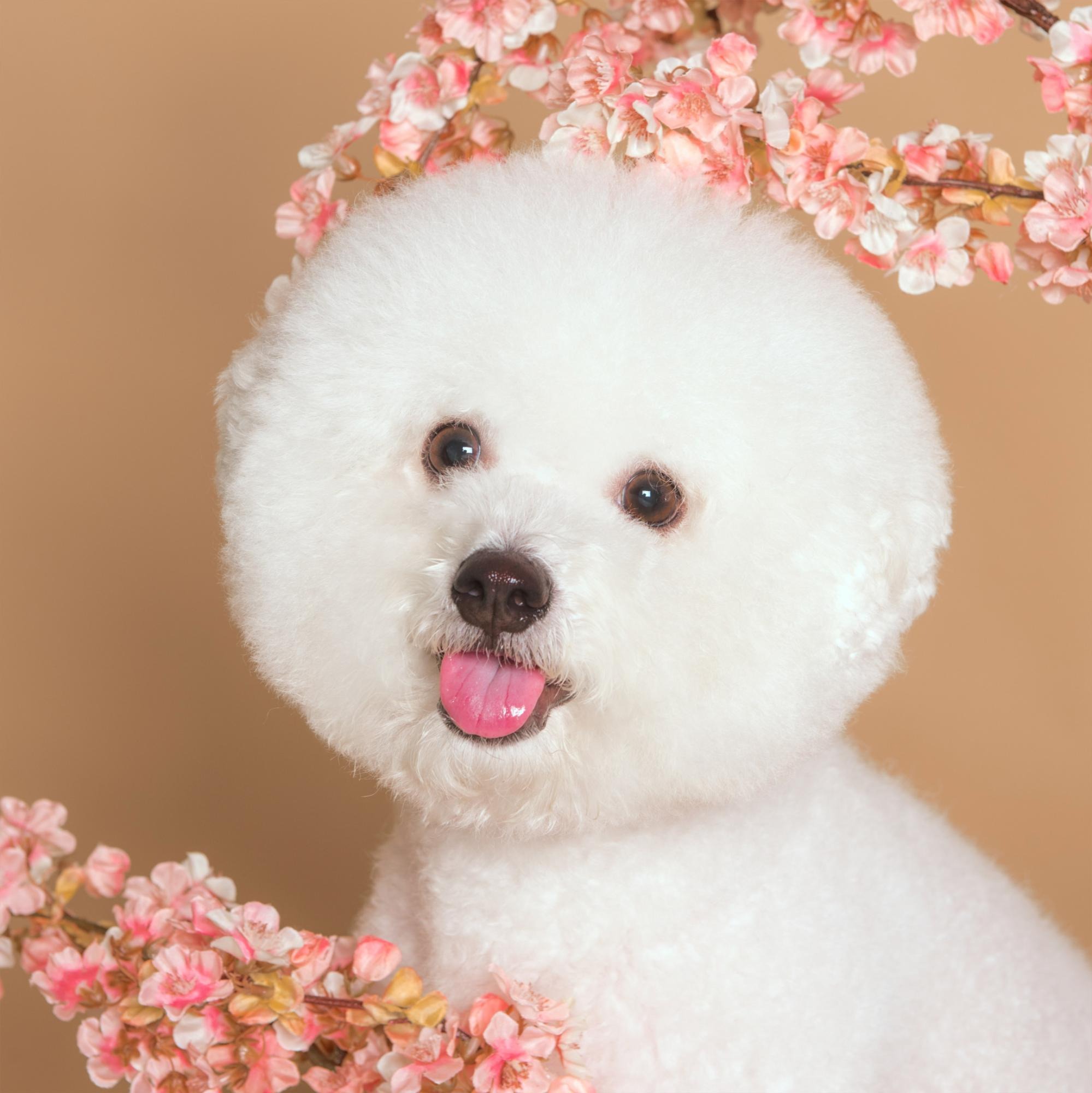 프로필사진