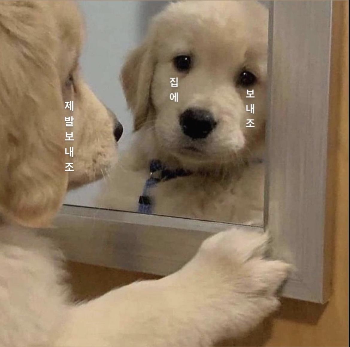 프로필사진