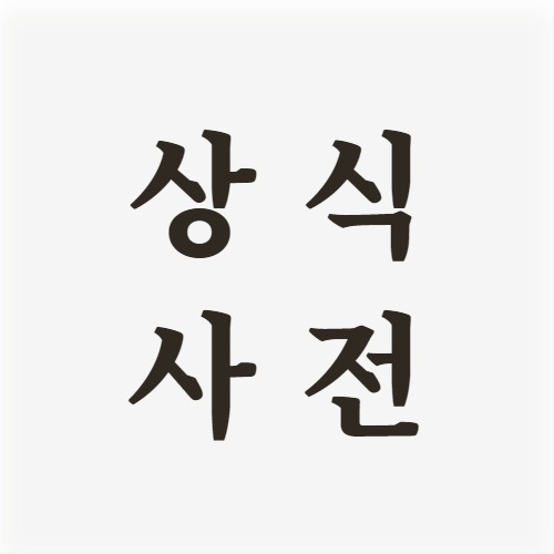 프로필사진