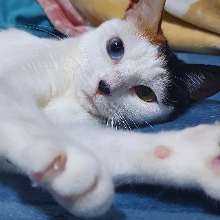 블로그 이미지
