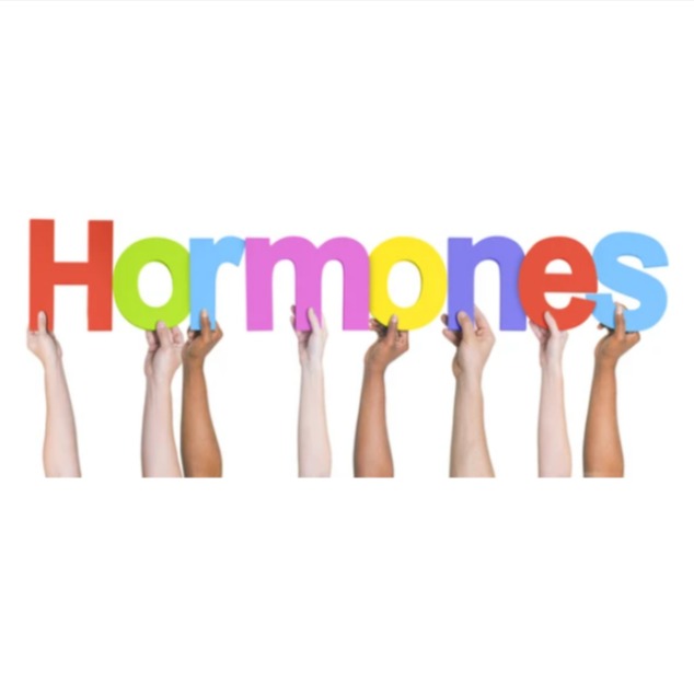 Tistory profile picture for @hormone
