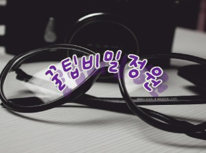 블로그 이미지