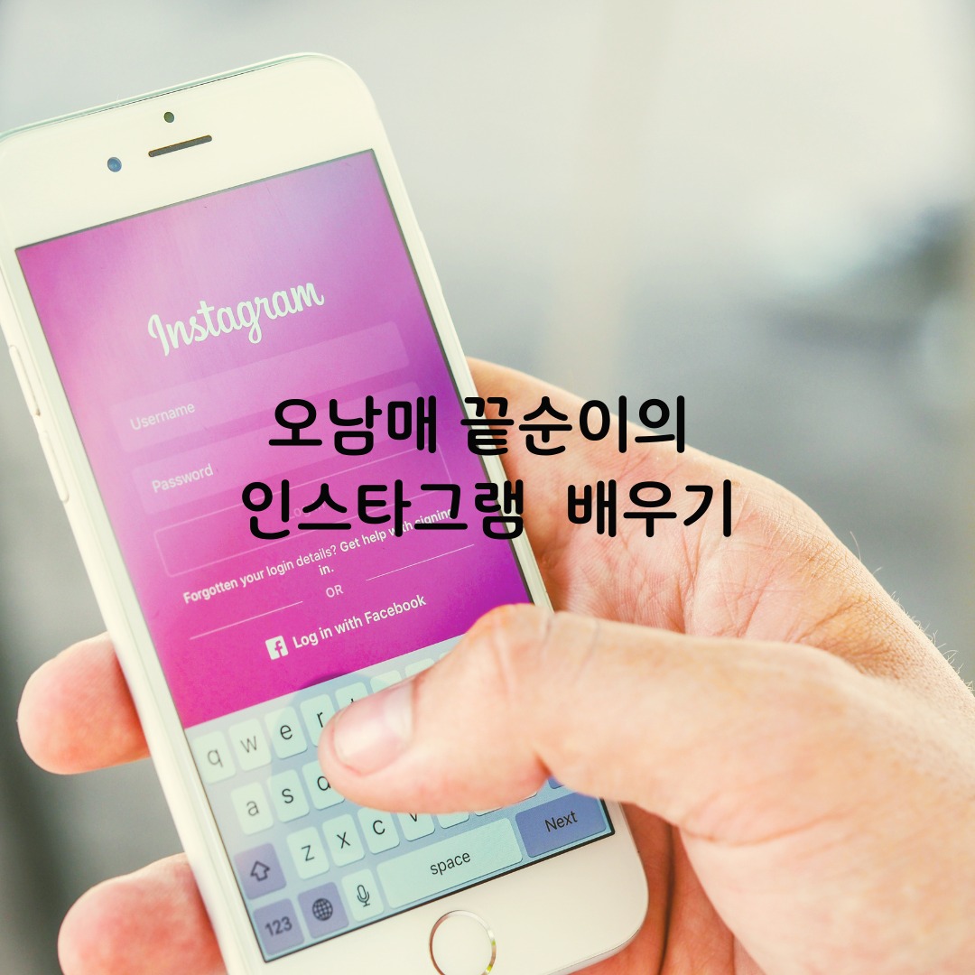 프로필사진