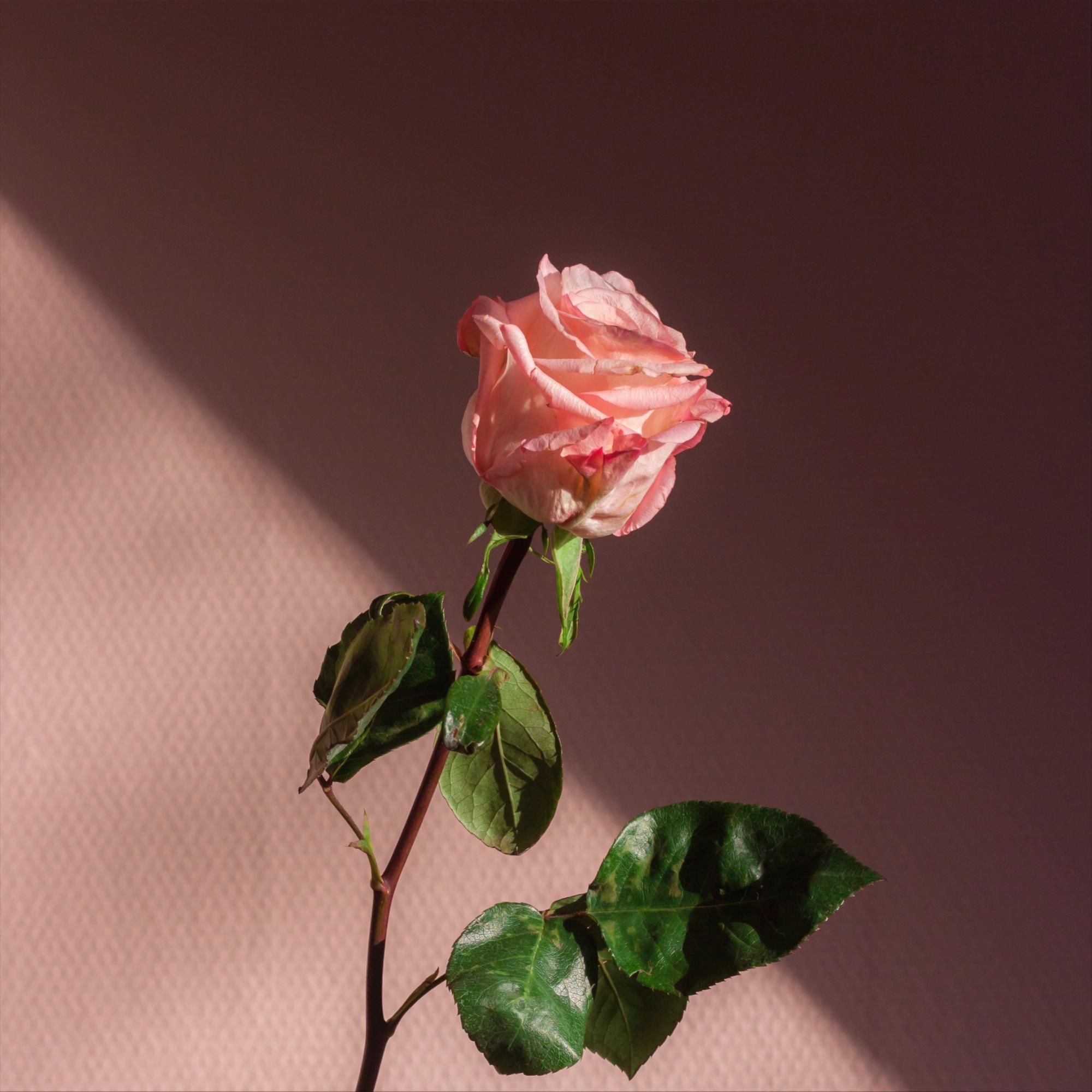 Tistory profile picture for @solidarity