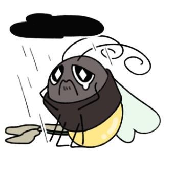 프로필사진
