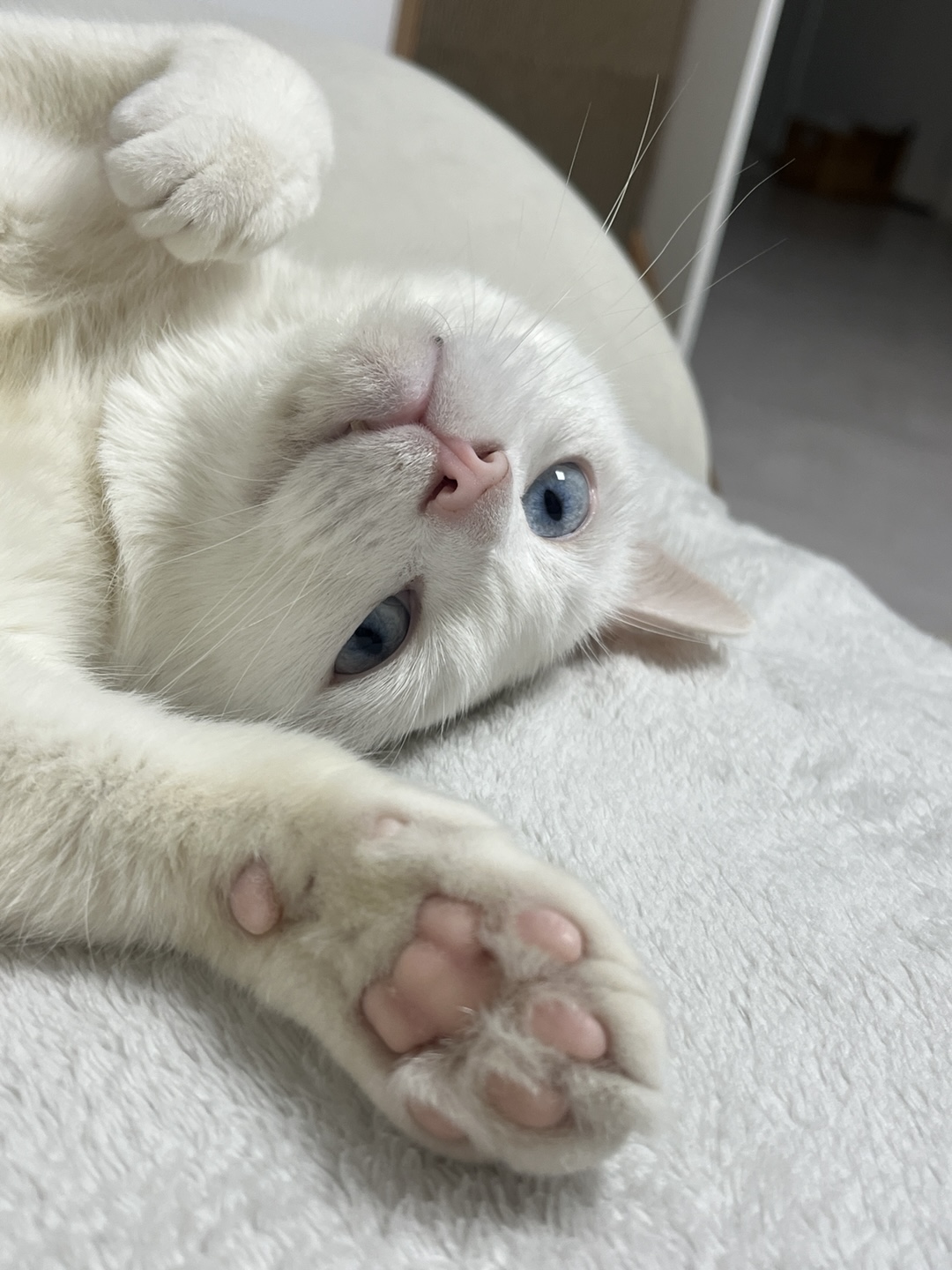 블로그 이미지