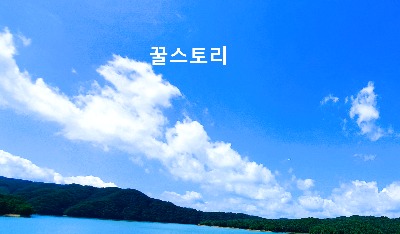 프로필사진