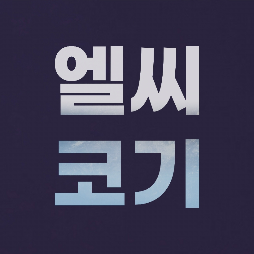 프로필사진