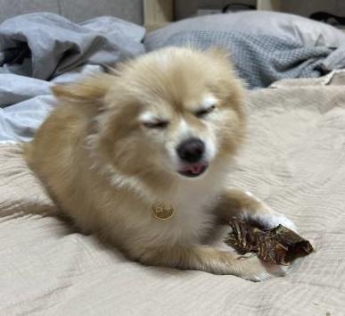 프로필사진