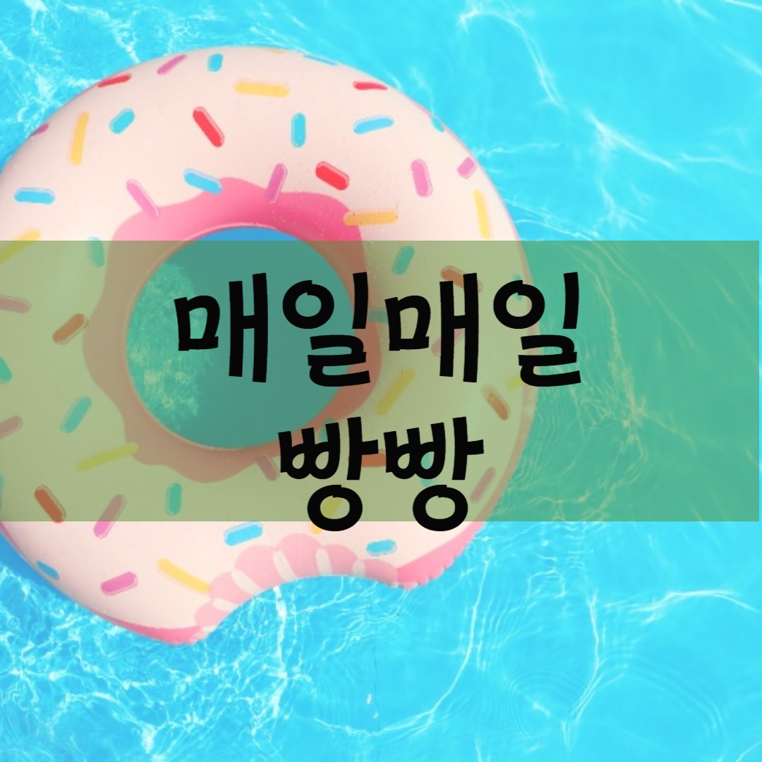 프로필사진