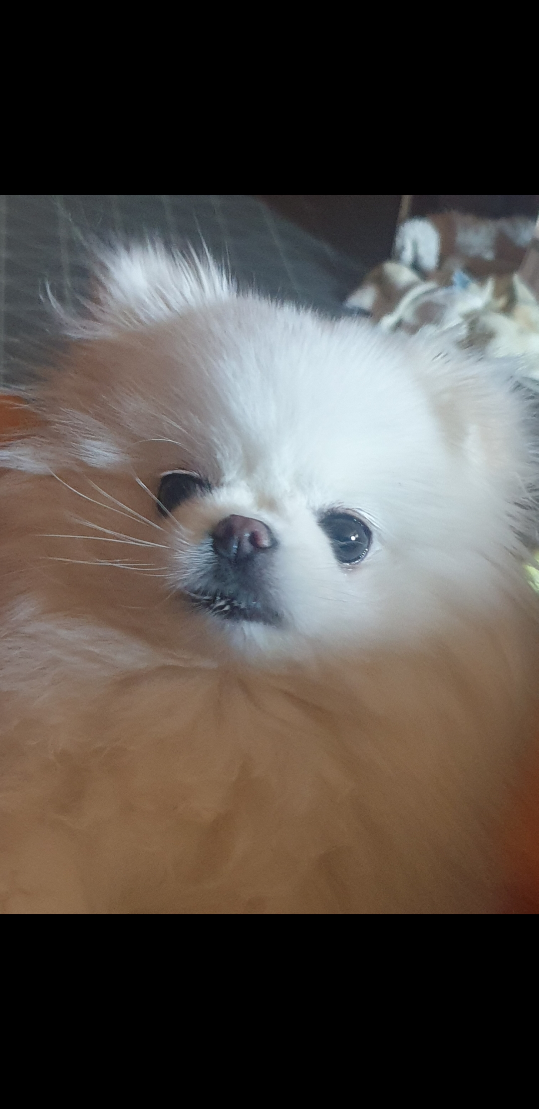프로필사진