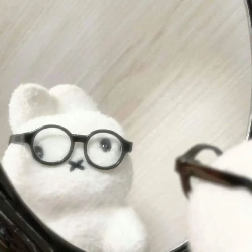 프로필사진