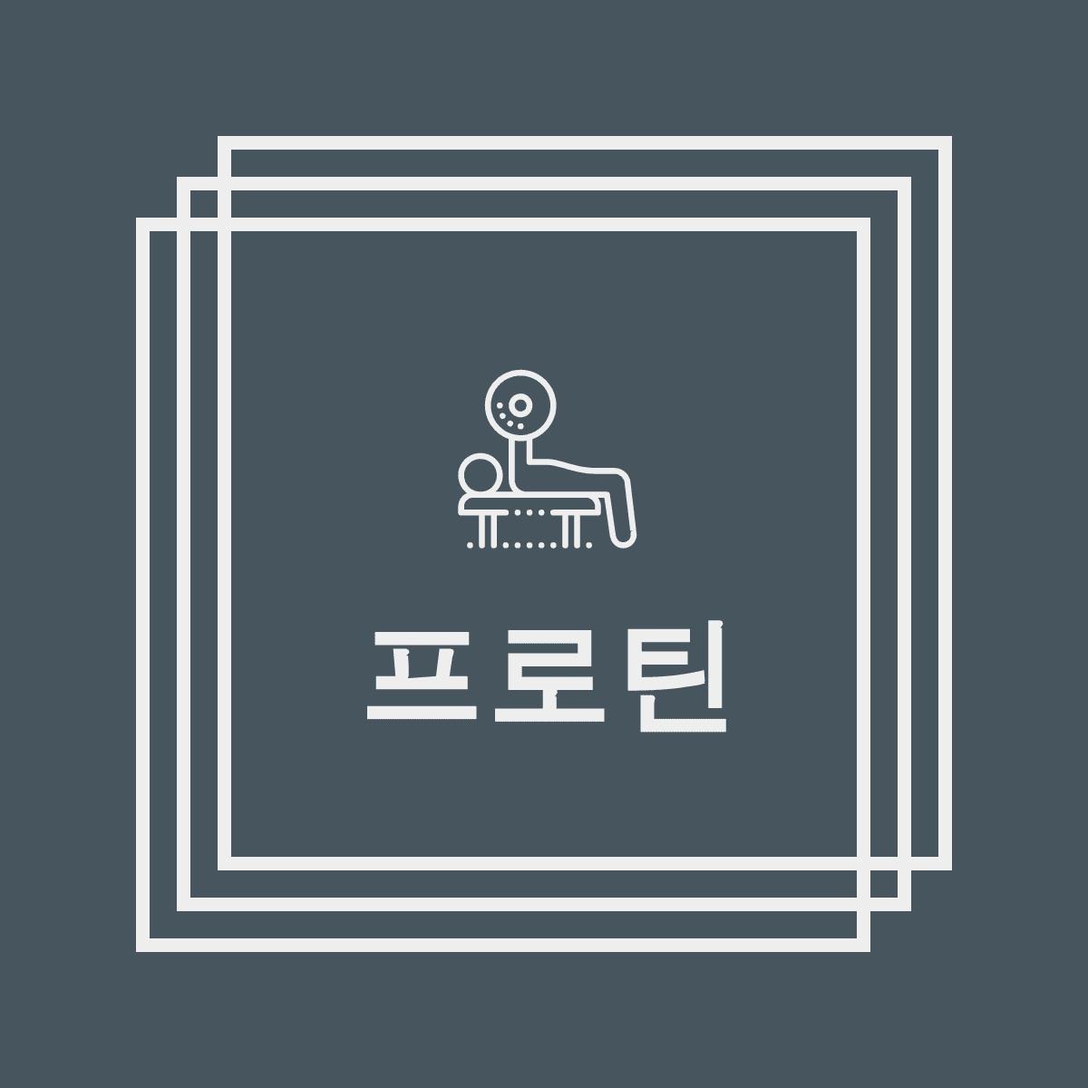 프로필사진