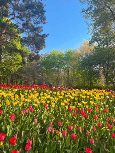 프로필 배경