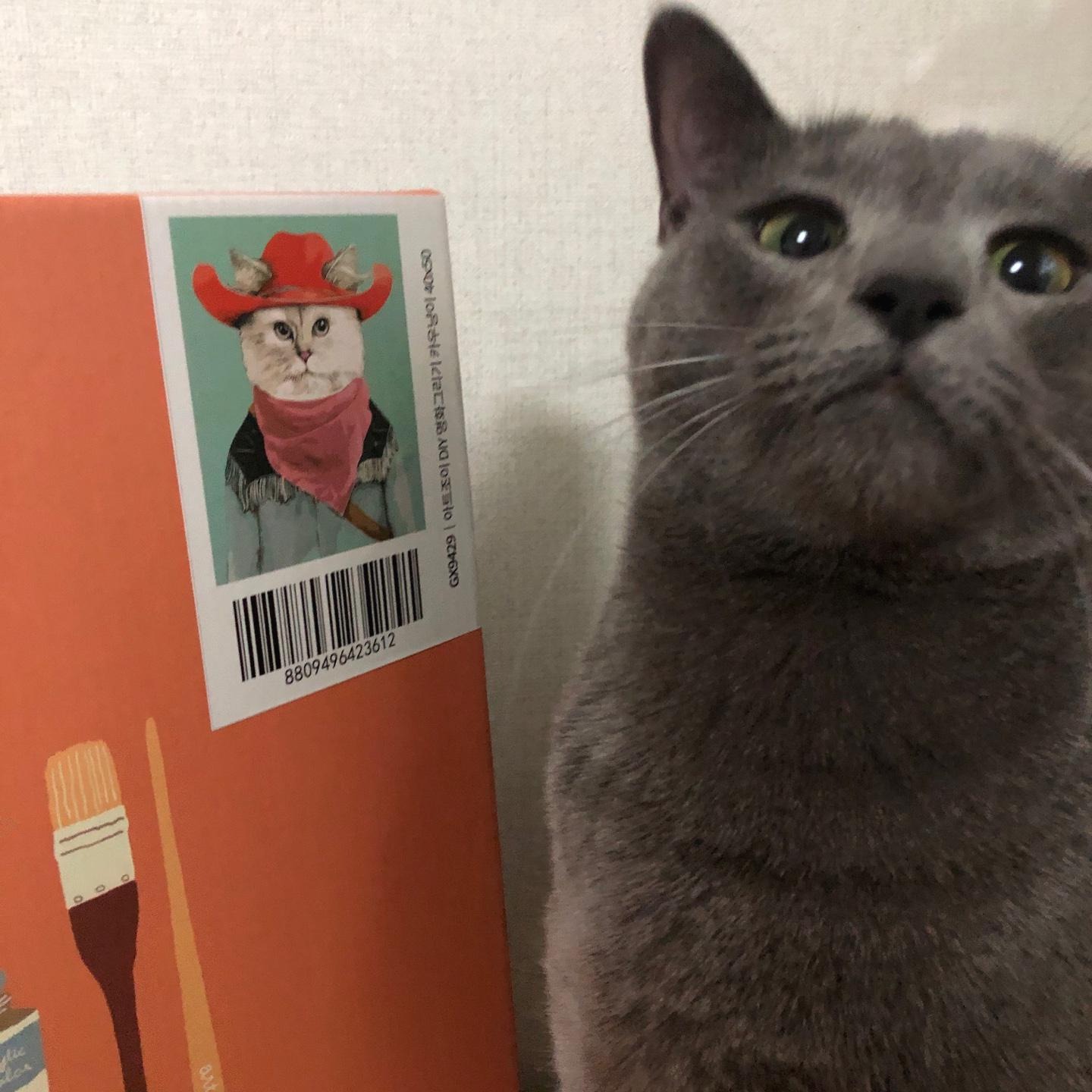 블로그 이미지