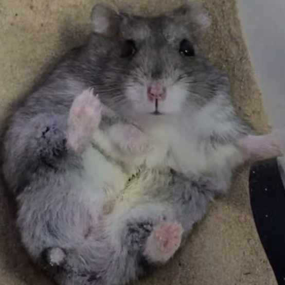 프로필사진
