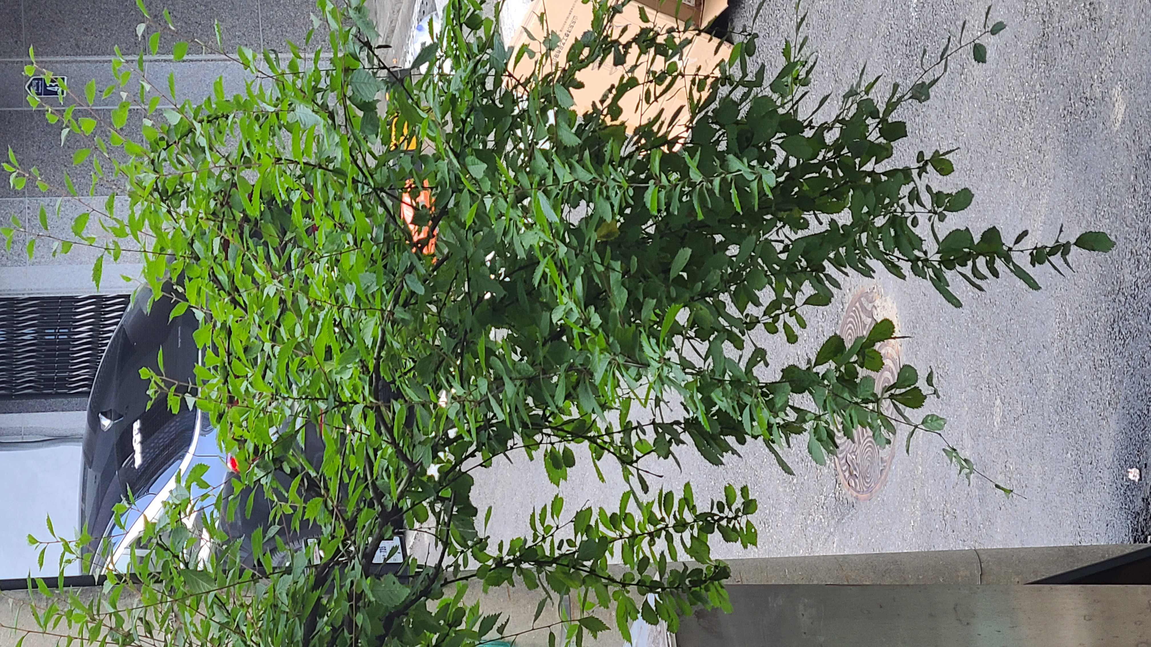 프로필사진