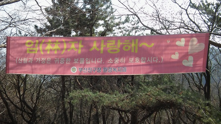 안동네 뒷산의 추억